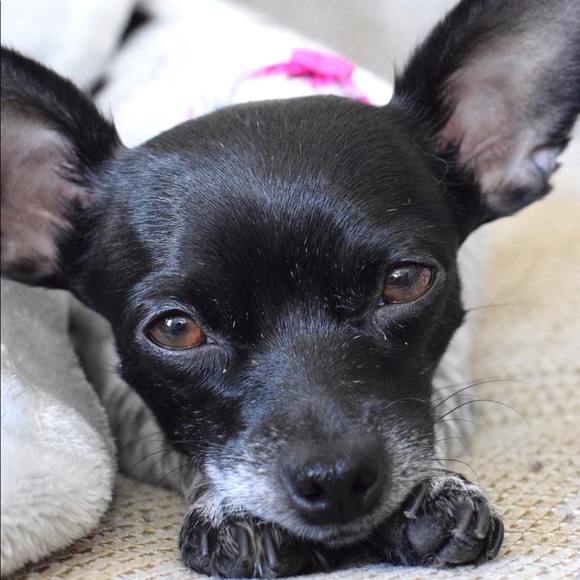 Meet your Posher, Regina - Picture 2 of 5